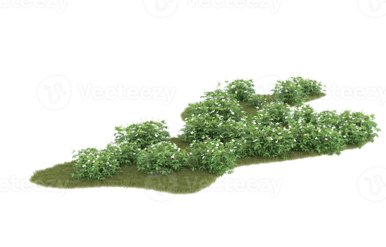 realistisk lövverk isolerat på transparent bakgrund. 3d tolkning - illustration png