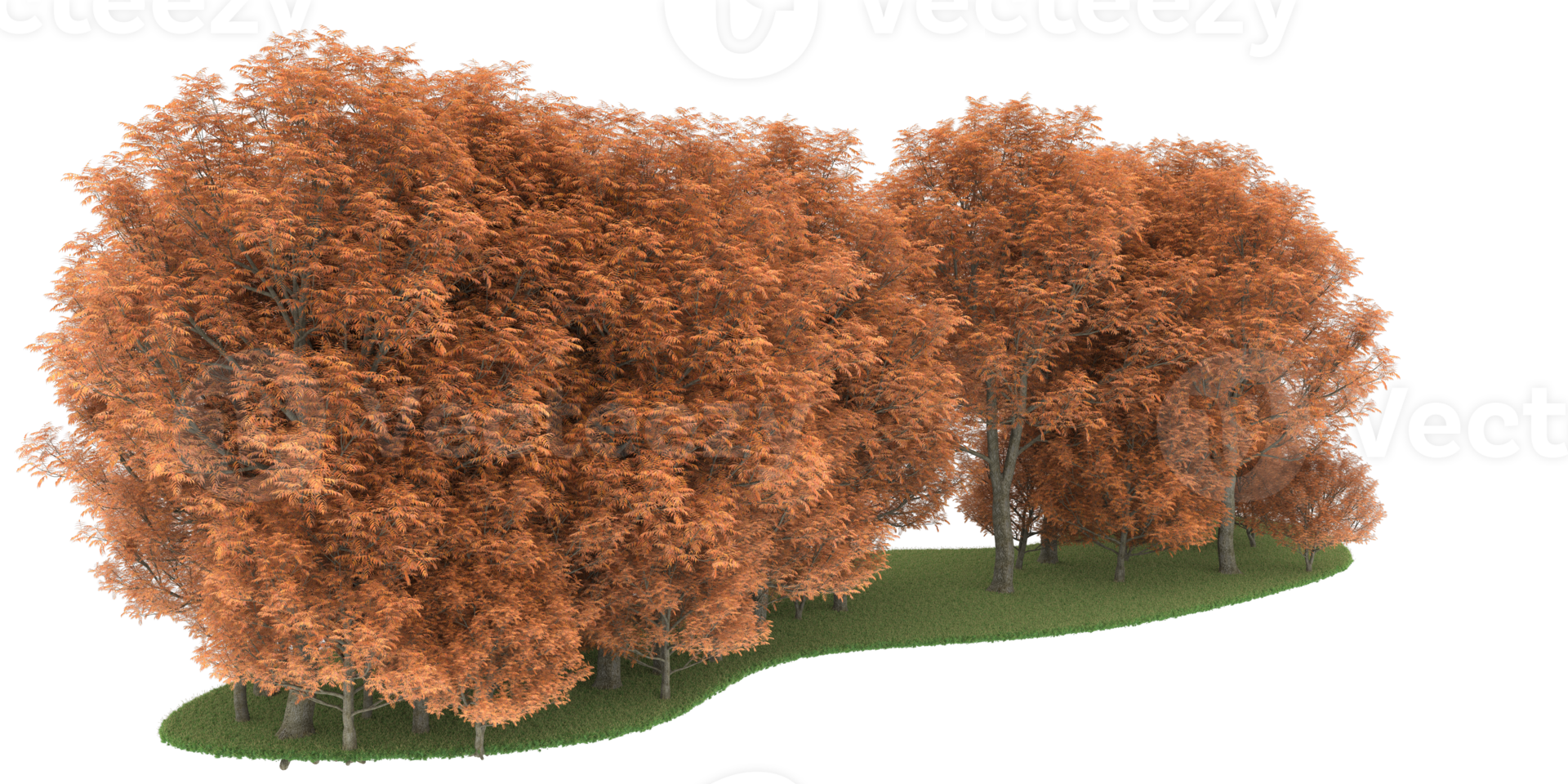 forêt réaliste isolée sur fond transparent. rendu 3d - illustration png