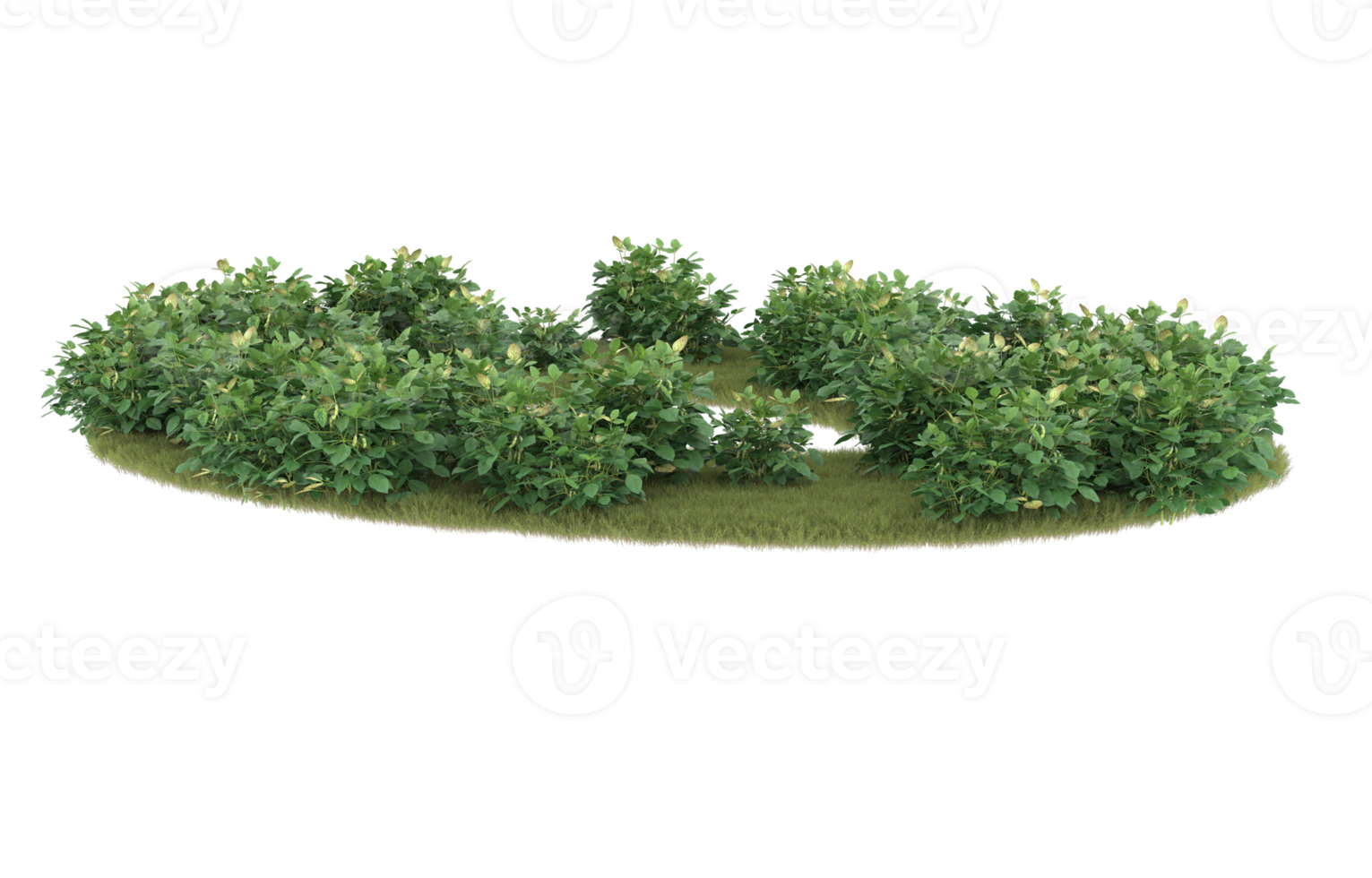 Realistic foliage isolated on transparent background. 3d rendering - illustration png