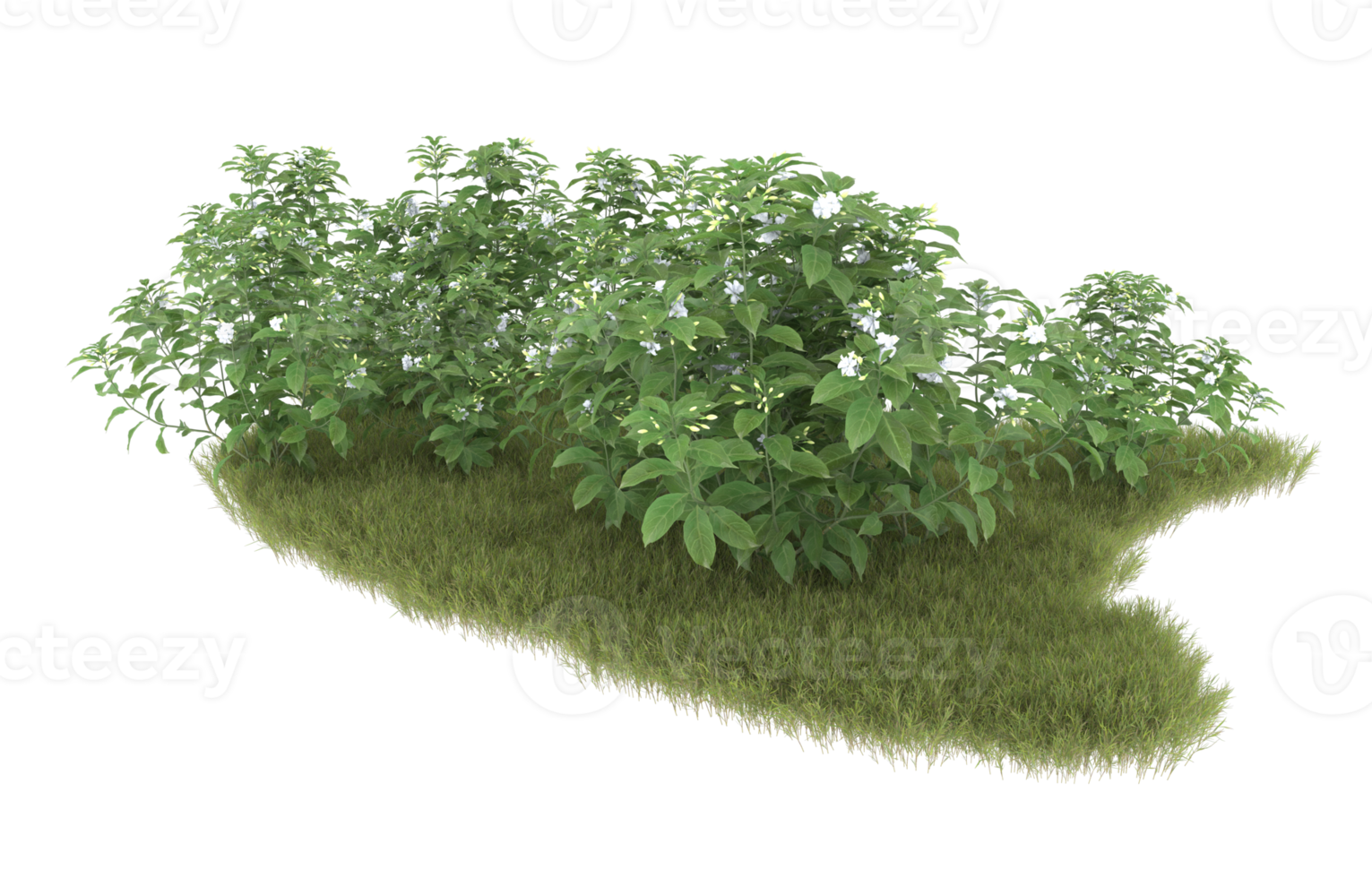 Realistic foliage isolated on transparent background. 3d rendering - illustration png