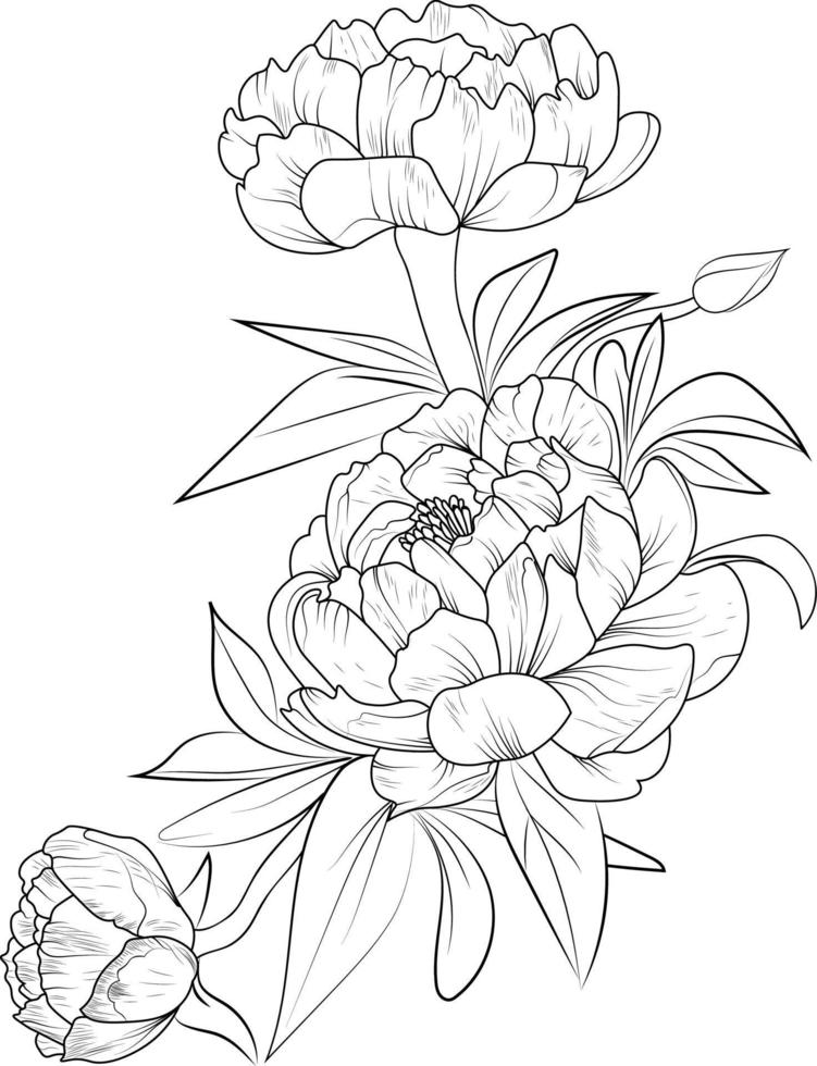 dibujo de flor de peonía. ramo de flores de peonía dibujado a mano ilustración de boceto vectorial arte de tinta grabado colección de rama de hoja botánica aislada en la página de color de fondo blanco y libros. vector