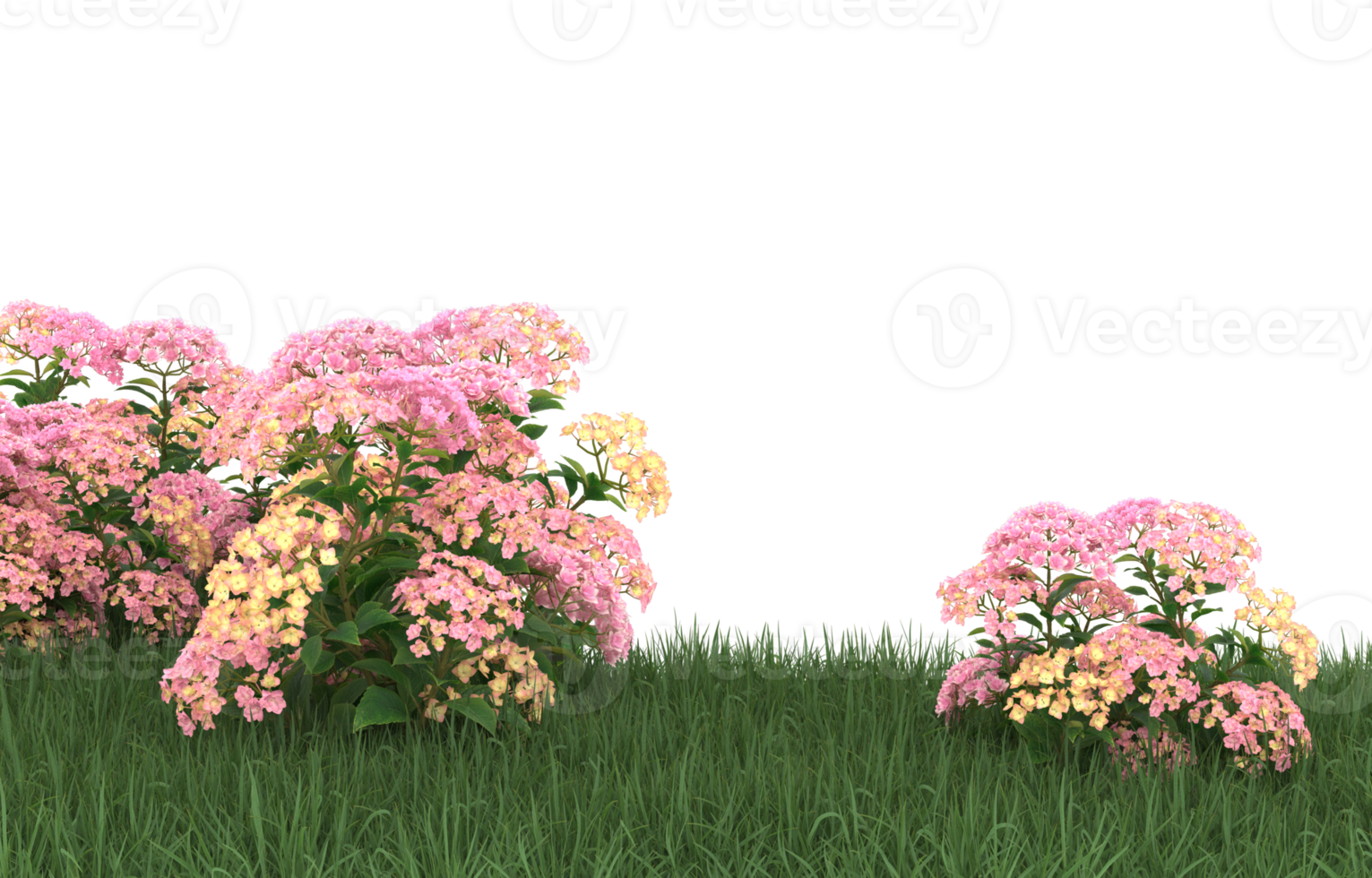 Realistic foliage isolated on transparent background. 3d rendering - illustration png