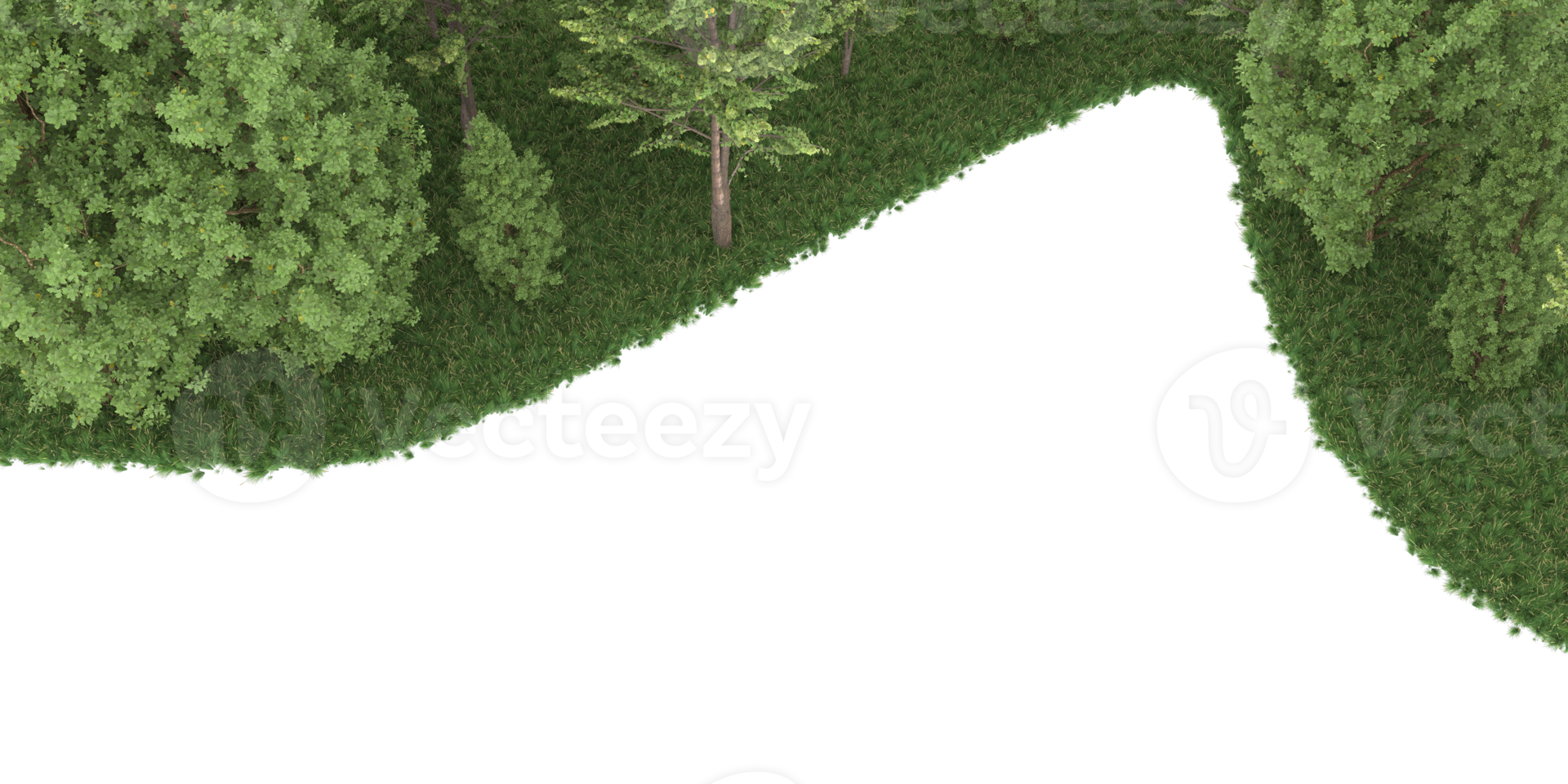 Realistic forest isolated on transparent background. 3d rendering - illustration png