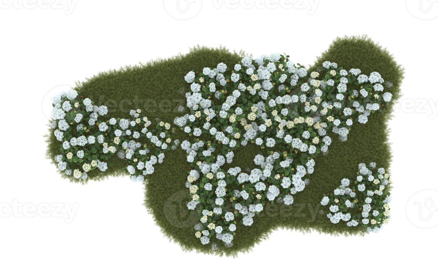 Realistic foliage isolated on transparent background. 3d rendering - illustration png