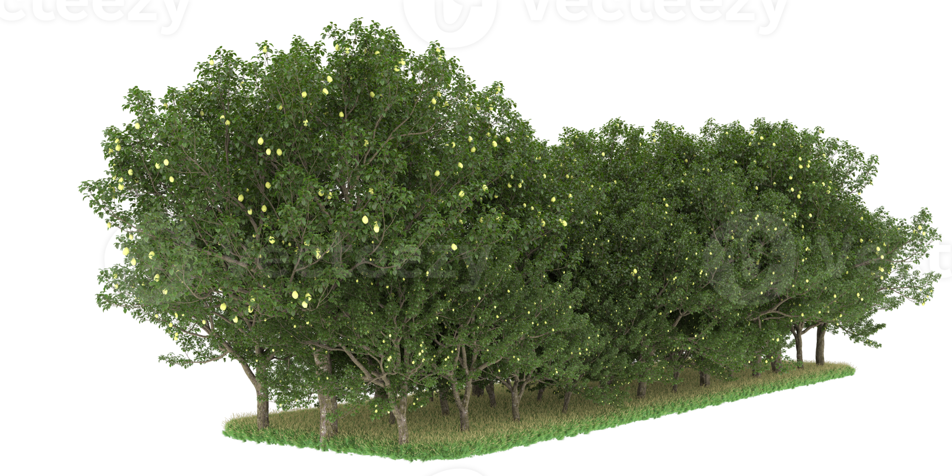Realistic forest isolated on transparent background. 3d rendering - illustration png