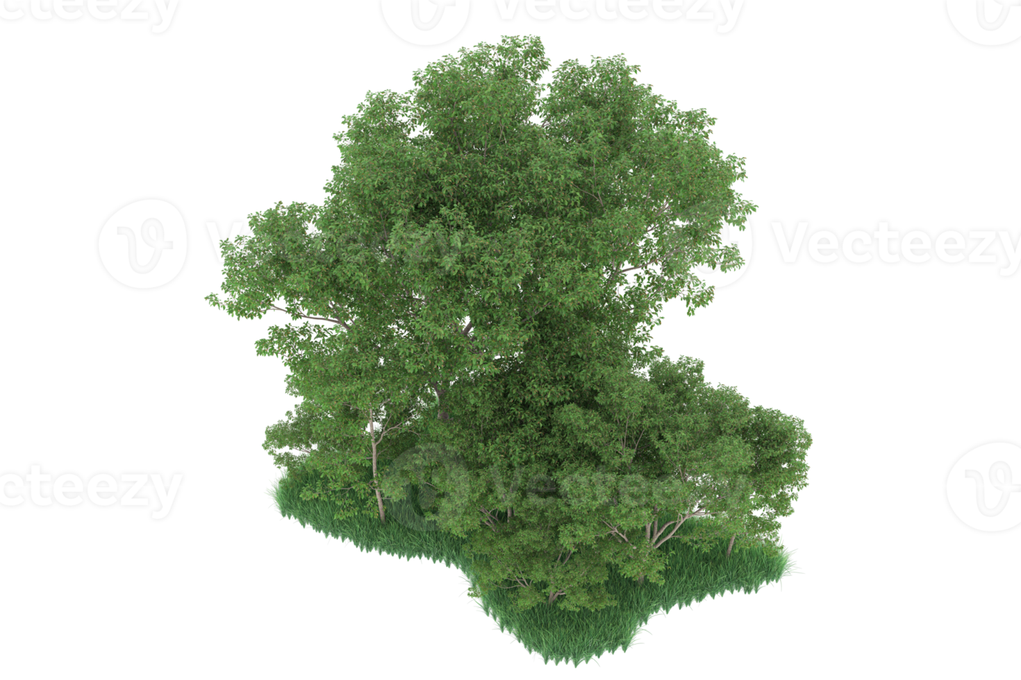 Realistic forest isolated on transparent background. 3d rendering - illustration png