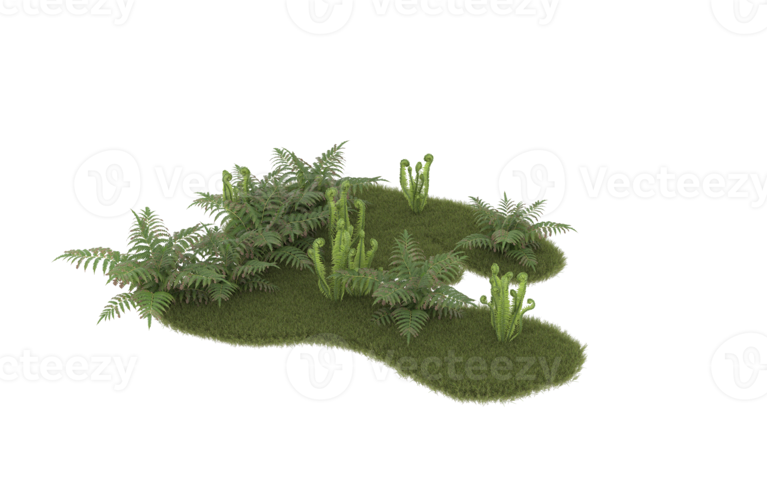 Realistic foliage isolated on transparent background. 3d rendering - illustration png