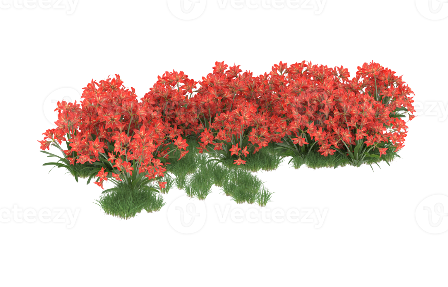 Realistic foliage isolated on transparent background. 3d rendering - illustration png