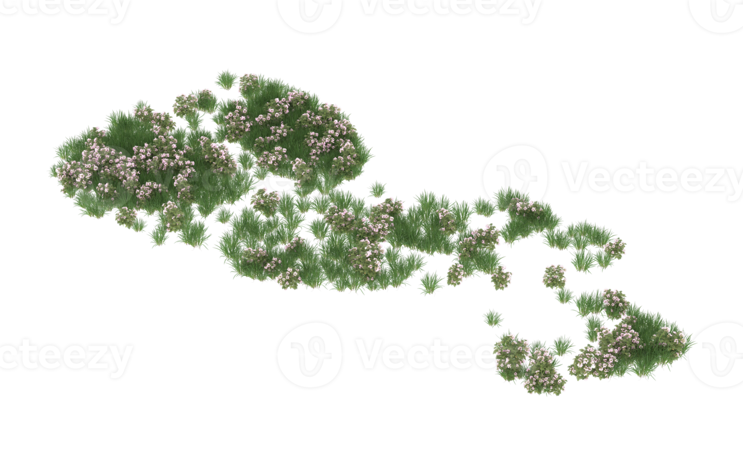 realistico fogliame isolato su trasparente sfondo. 3d interpretazione - illustrazione png