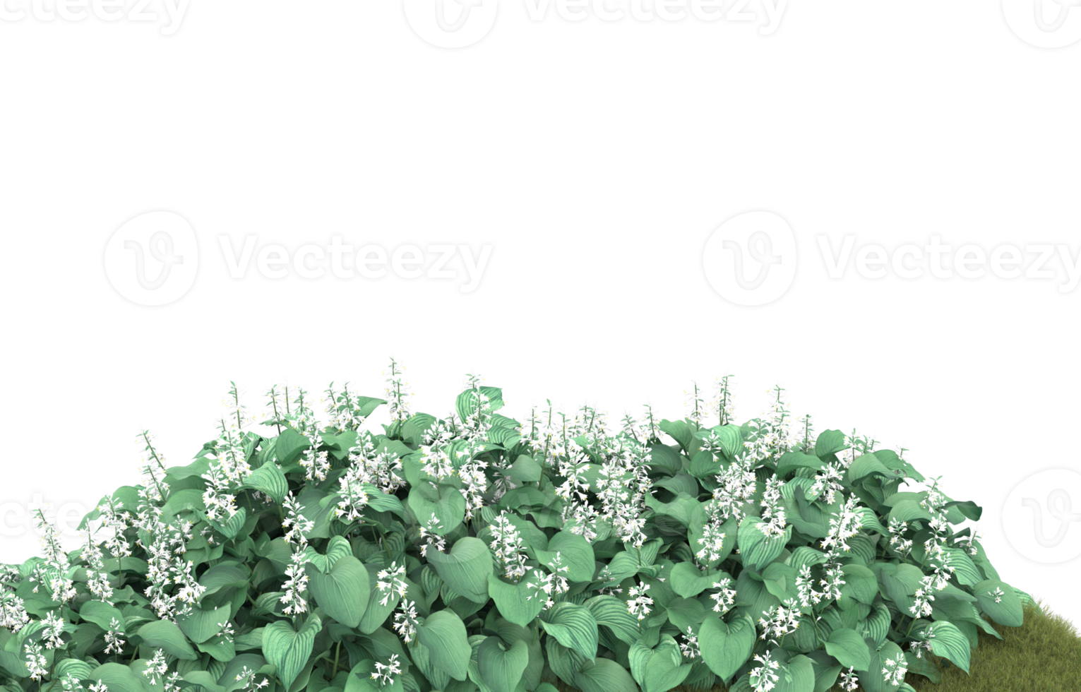 Realistic foliage isolated on transparent background. 3d rendering - illustration png