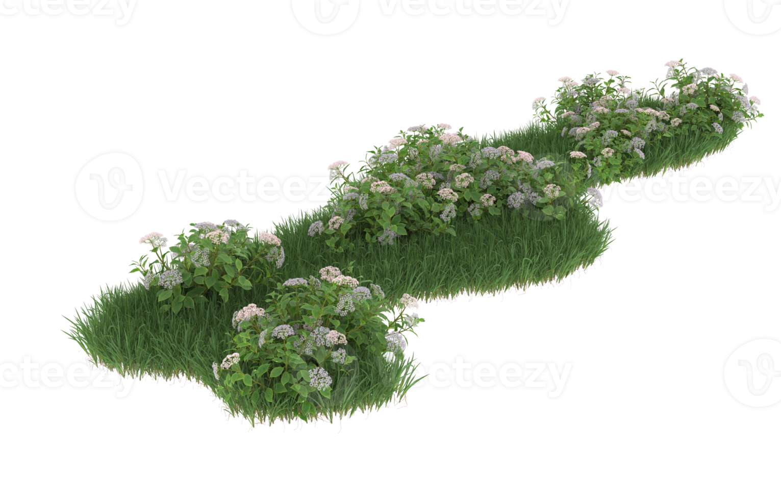 Realistic foliage isolated on transparent background. 3d rendering - illustration png