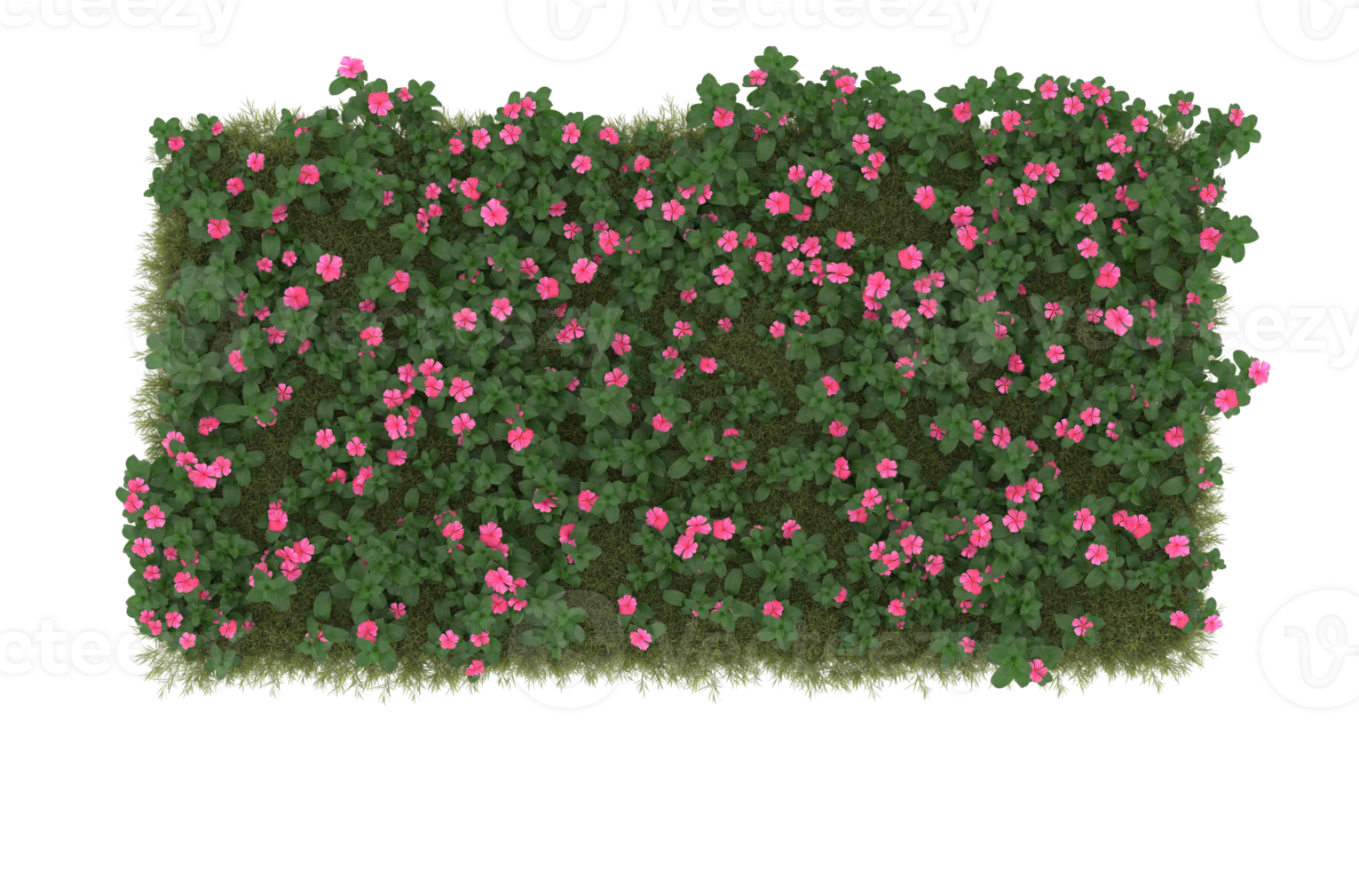 Realistic foliage isolated on transparent background. 3d rendering - illustration png
