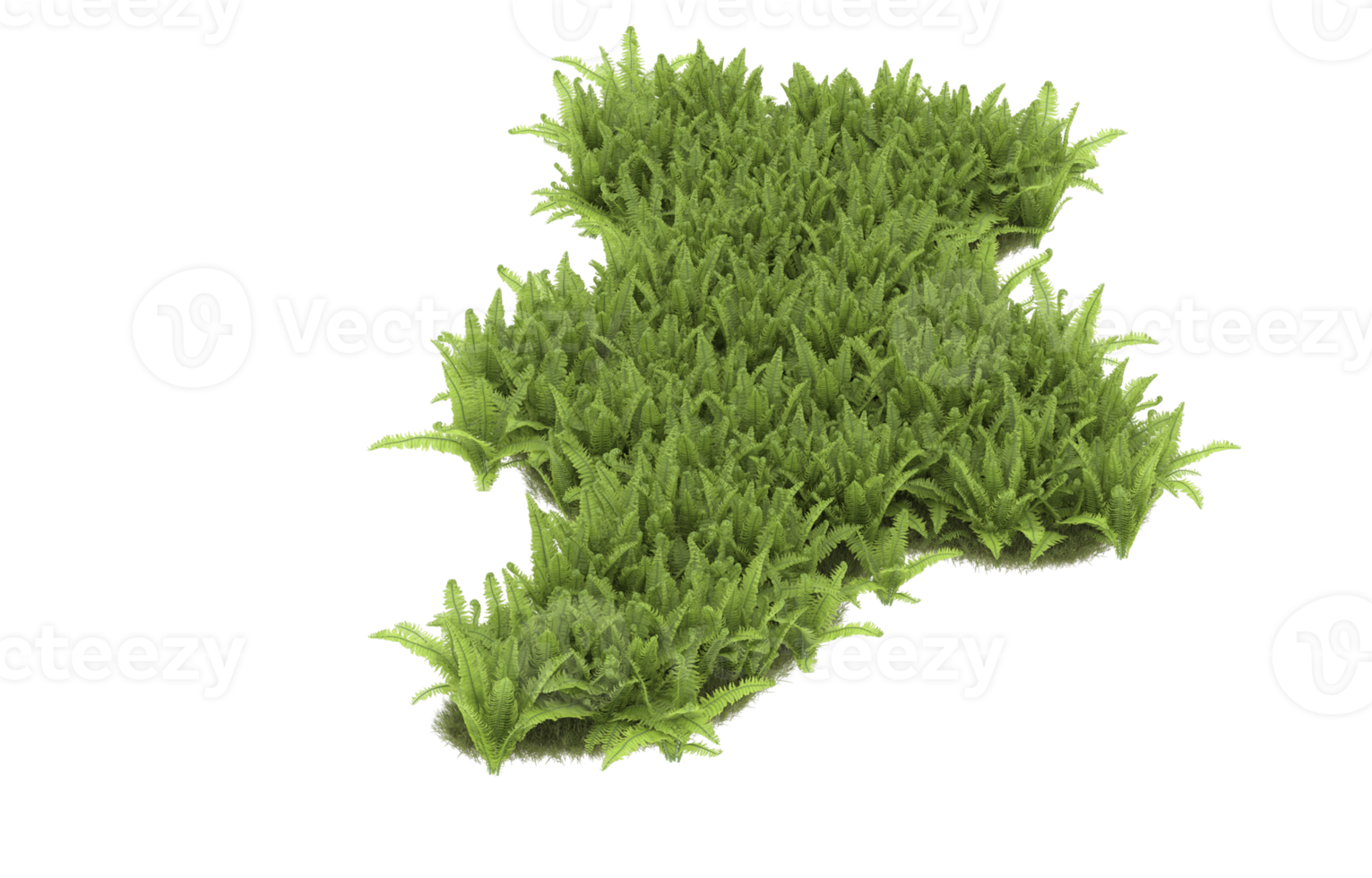 realistisk lövverk isolerat på transparent bakgrund. 3d tolkning - illustration png