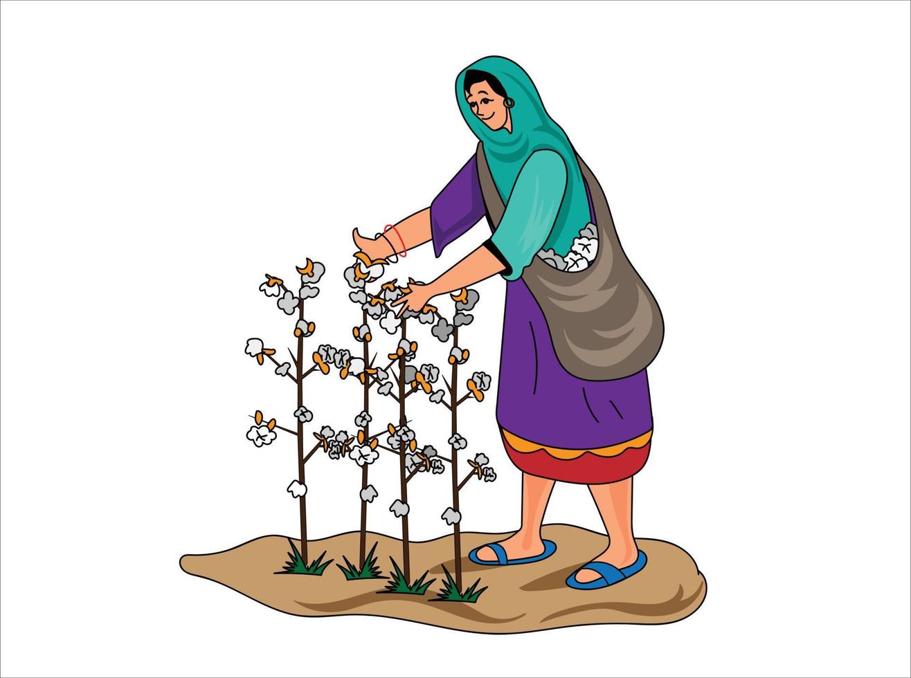 Woman collecting cotton hand vector illustration