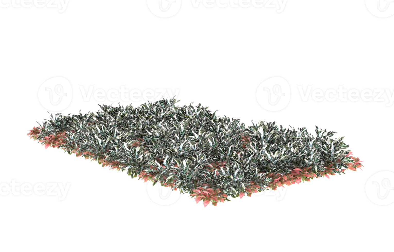Realistic foliage isolated on transparent background. 3d rendering - illustration png