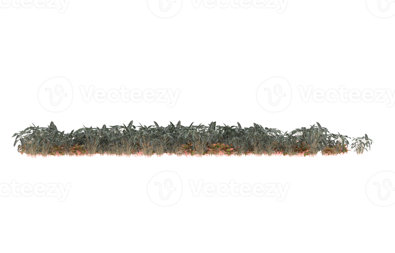 realistisk lövverk isolerat på transparent bakgrund. 3d tolkning - illustration png