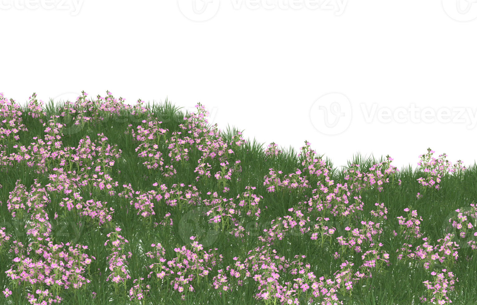 Realistic foliage isolated on transparent background. 3d rendering - illustration png