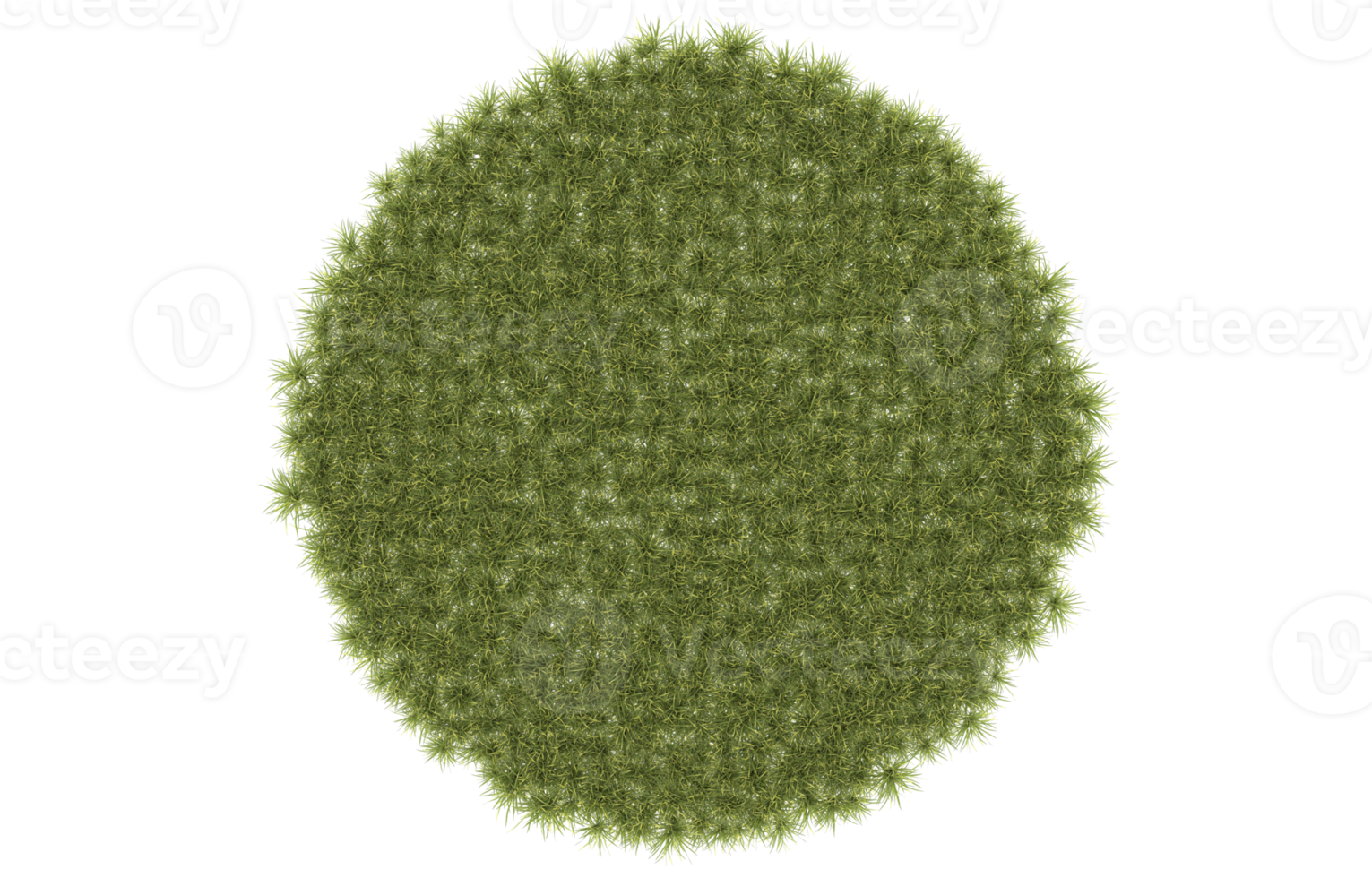 Realistic foliage isolated on transparent background. 3d rendering - illustration png