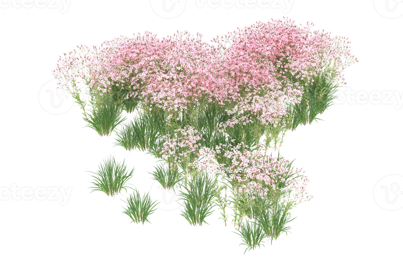Realistic foliage isolated on transparent background. 3d rendering - illustration png