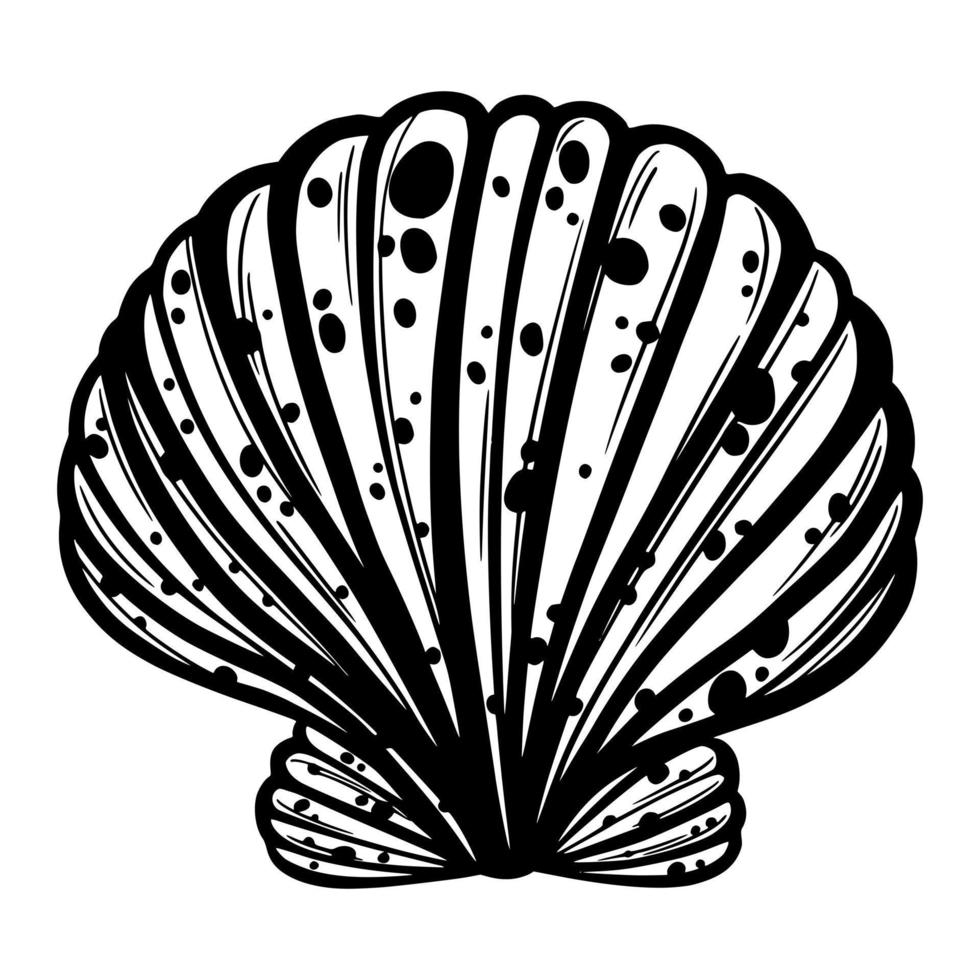 Marine seashell or mollusk for design of invitation, fabric, textile, etc. vector