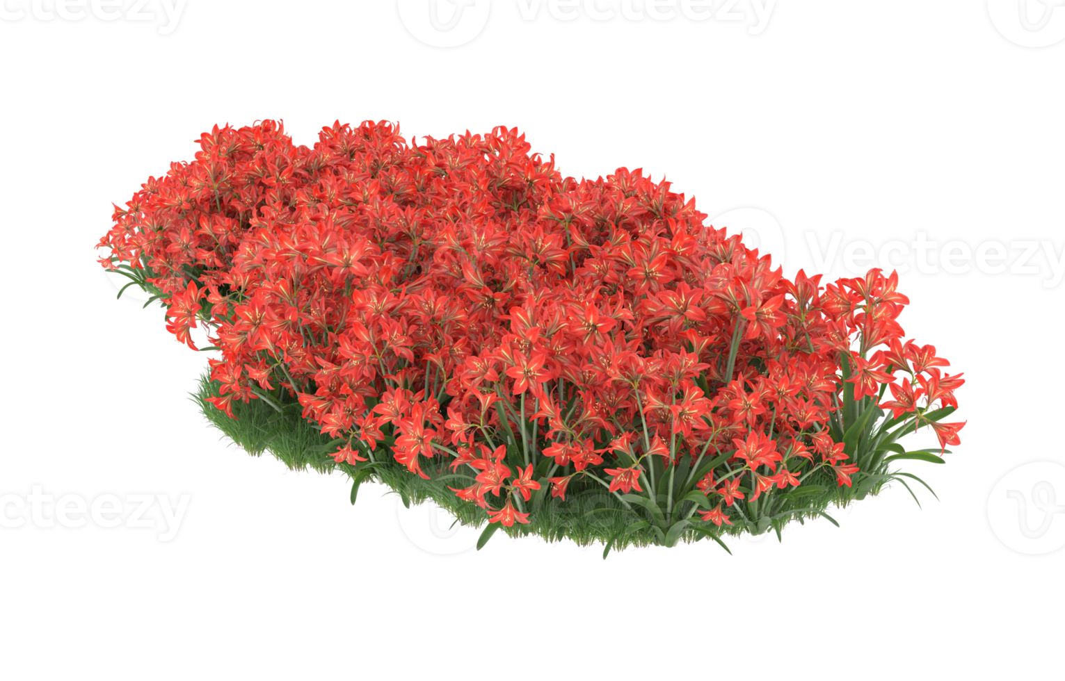 Realistic foliage isolated on transparent background. 3d rendering - illustration png