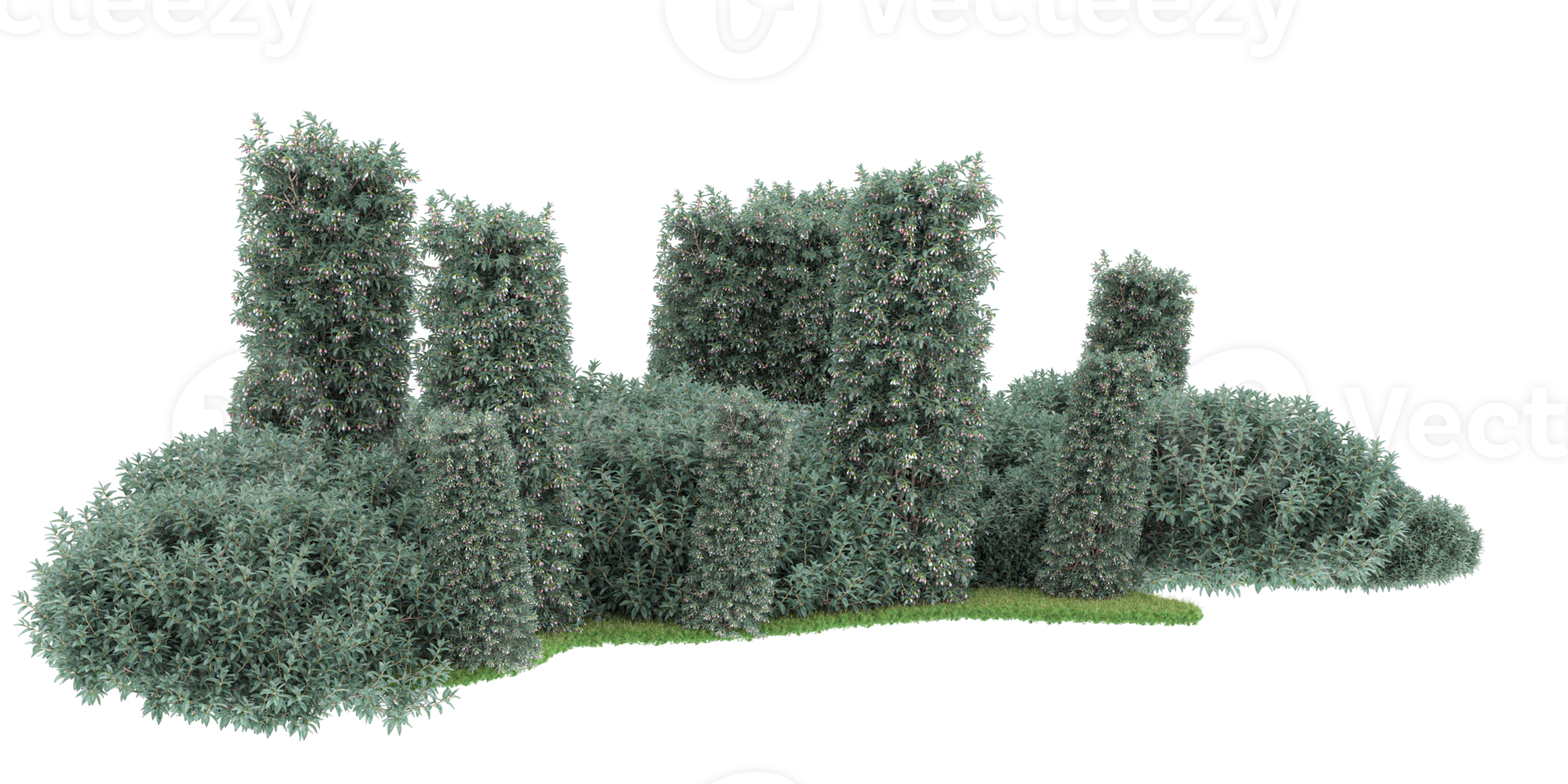 Realistic forest isolated on transparent background. 3d rendering - illustration png