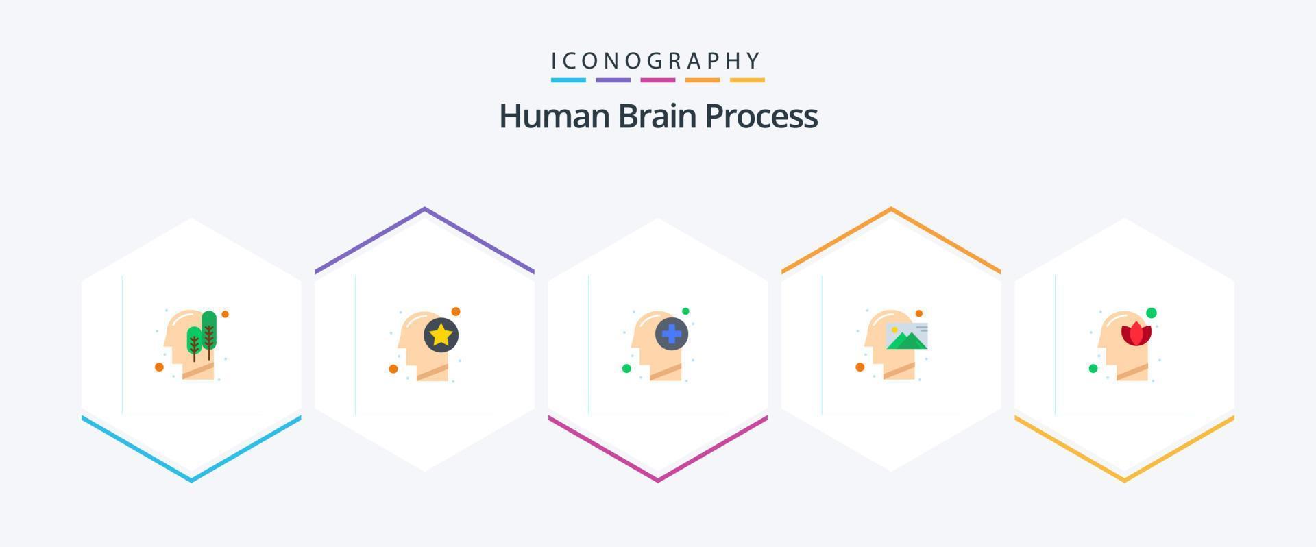 Human Brain Process 25 Flat icon pack including thinking. mind. thinking. human. mind vector