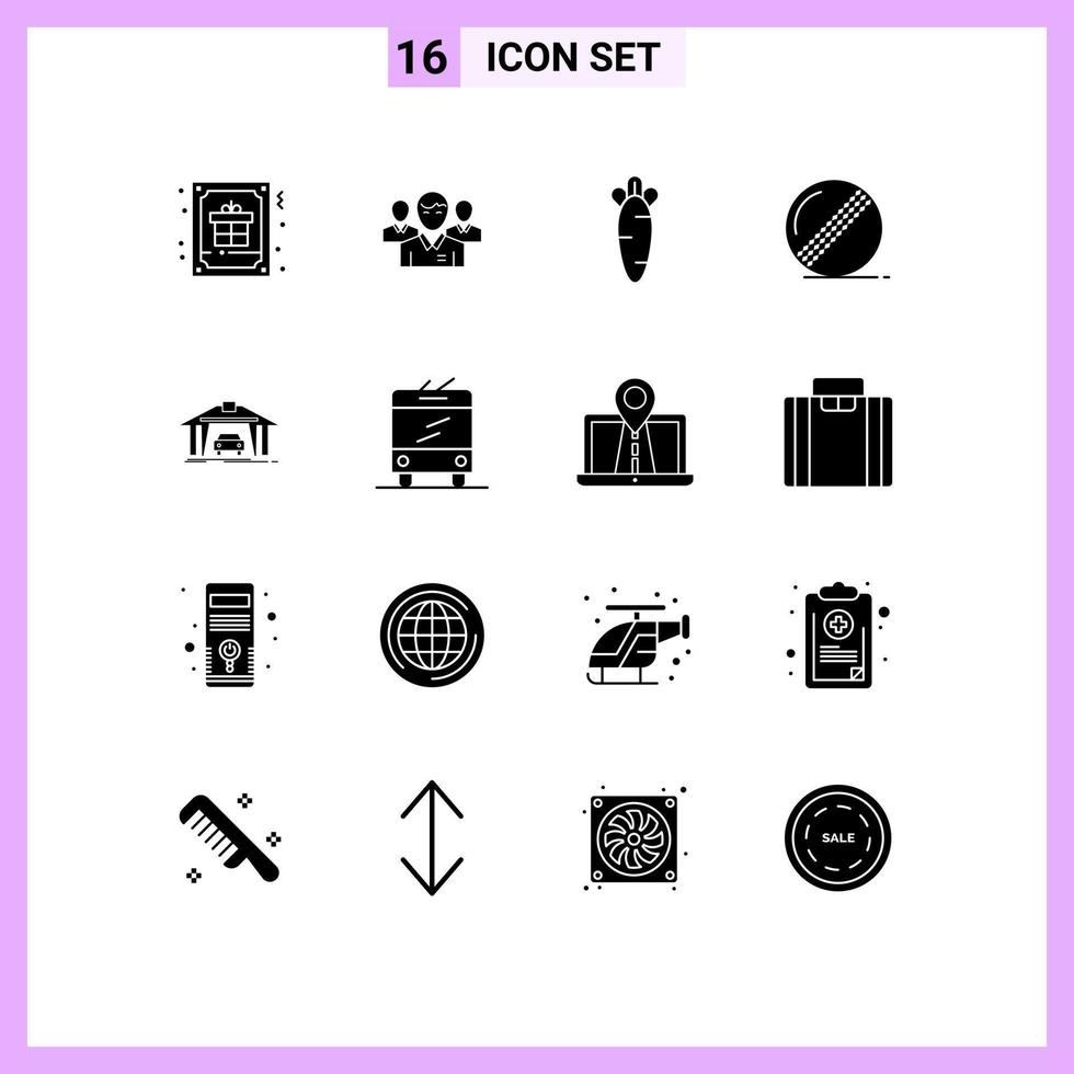 Group of 16 Solid Glyphs Signs and Symbols for cricket nature executive easter carrot Editable Vector Design Elements