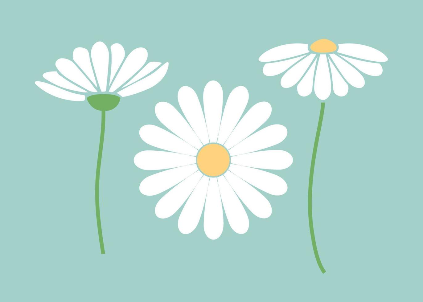 conjunto de margaritas de lindas flores dibujadas a mano ilustración vectorial. decoración floral minimalista vector