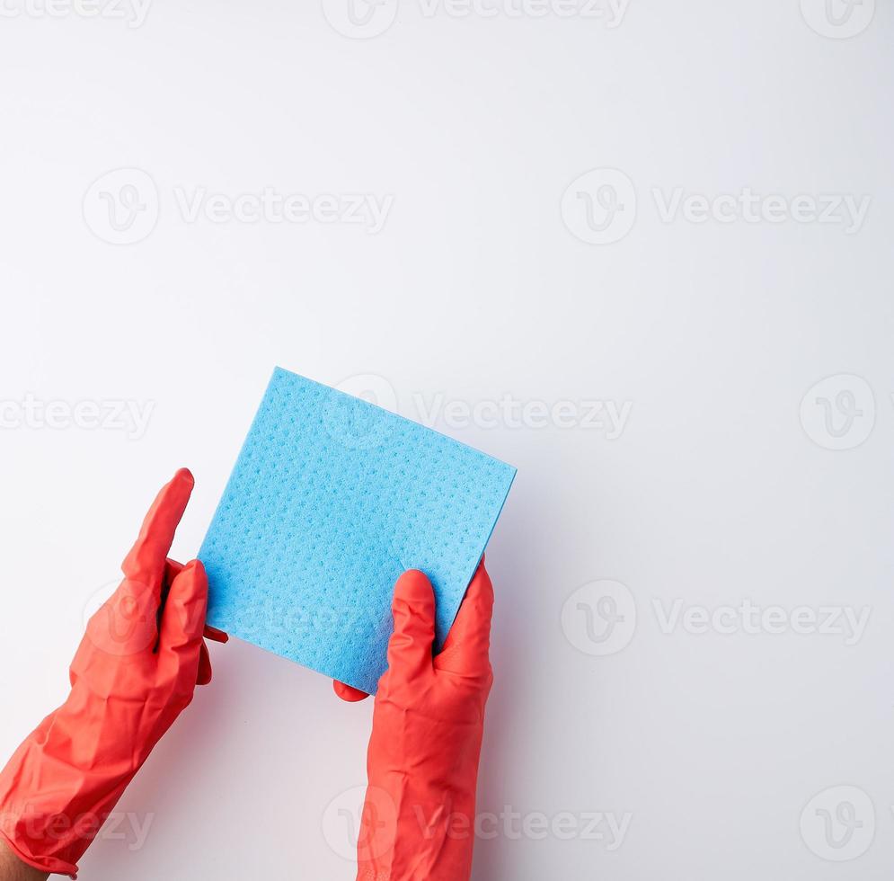 esponjas absorbentes cuadradas azules en sus manos con guantes de goma rojos foto