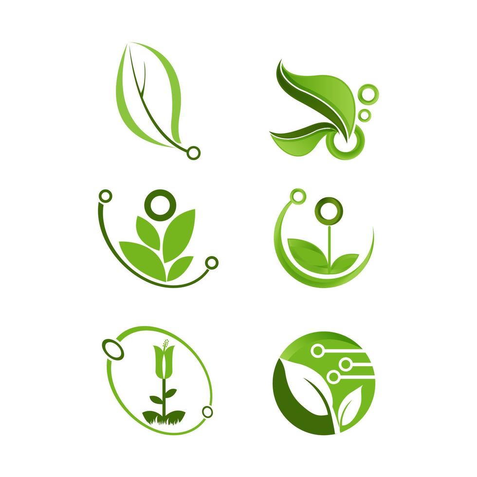 Símbolos o logotipos ecológicos, naturales y orgánicos - iconos ambientales de árboles y hojas. ilustración vectorial vector