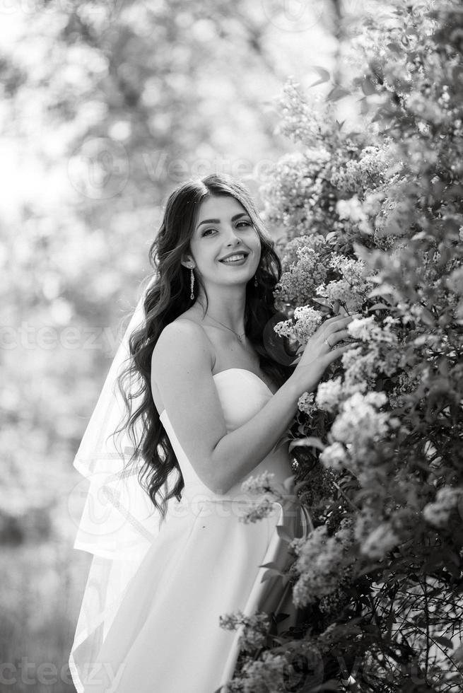 young girl bride in a white dress in a spring forest in lilac bushes photo