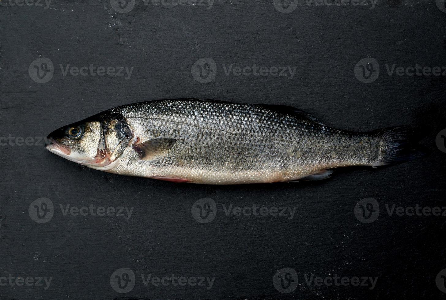 fresh whole sea bass fish on black background photo