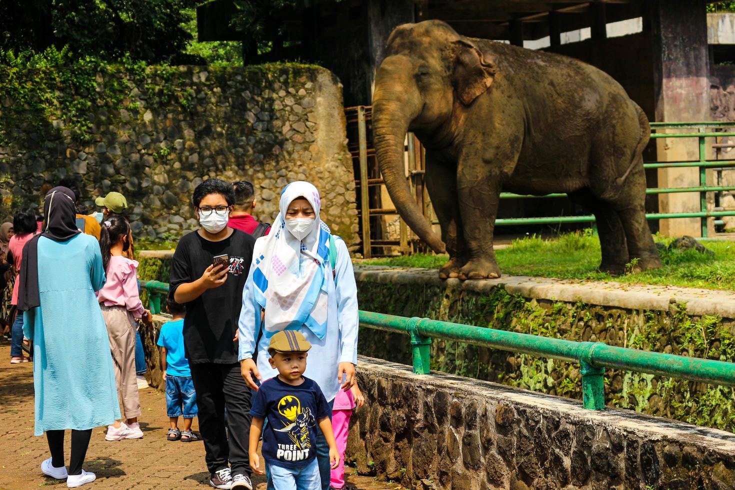 jakarta, indonesia en diciembre de 2022. el zoológico de ragunan es uno de los lugares favoritos para familias pequeñas y grandes foto