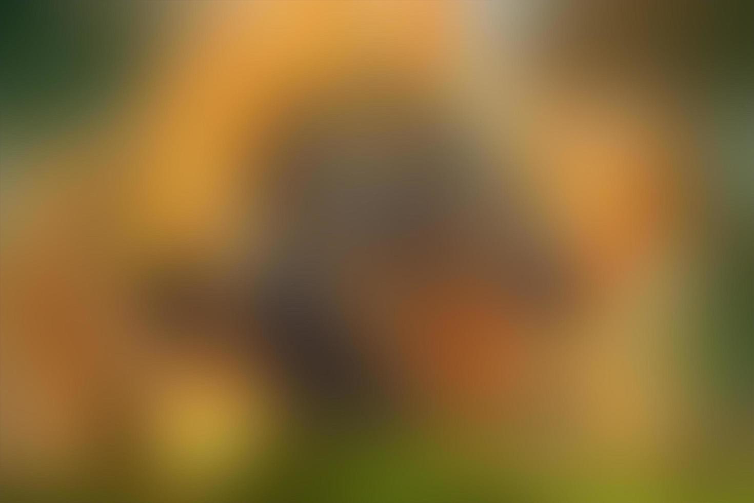Abstract Background Gradient defocused luxury vivid blurred colorful texture wallpaper Free Photo