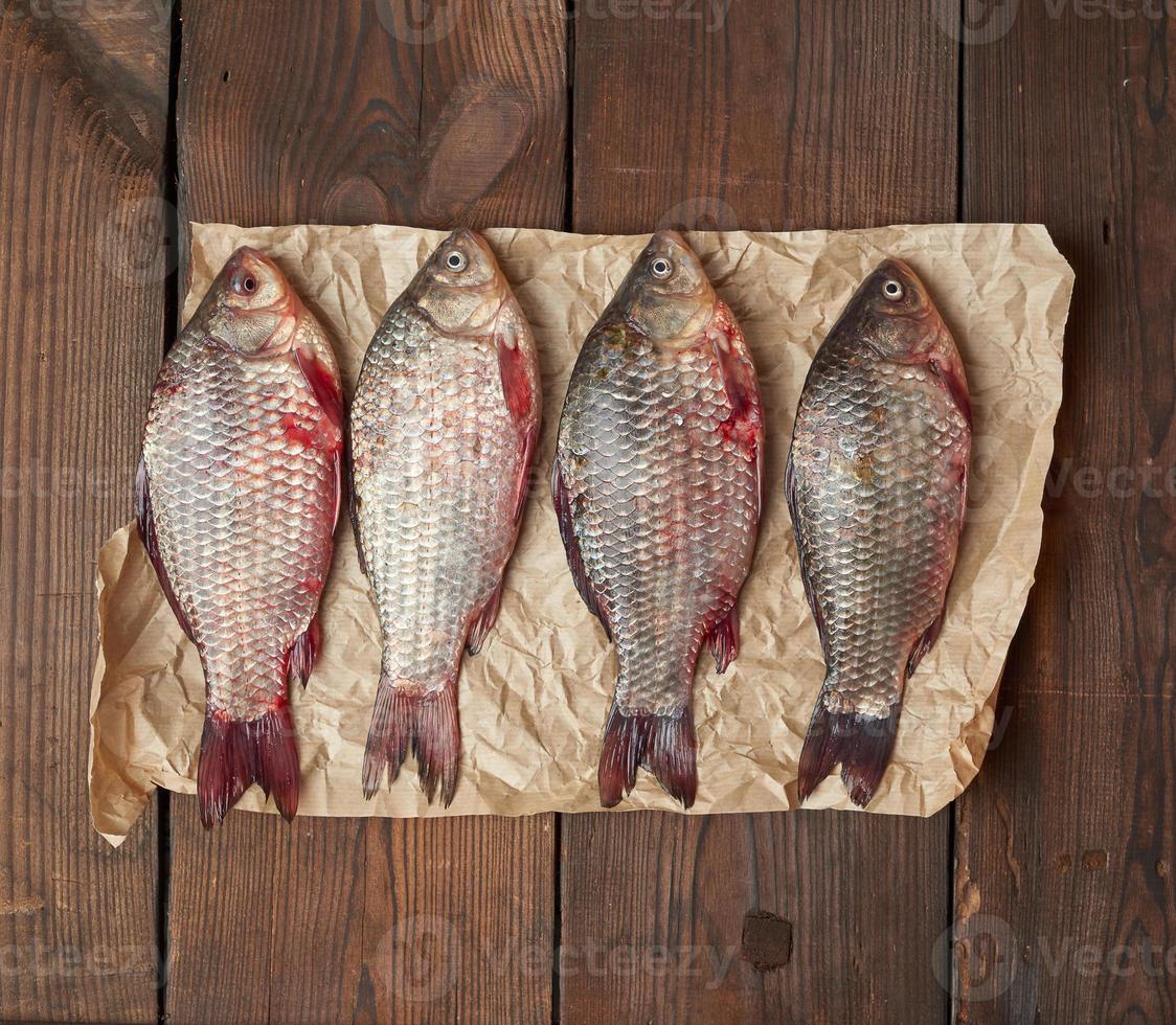 pescado crucian fresco entero con escamas en un trozo de papel marrón arrugado foto