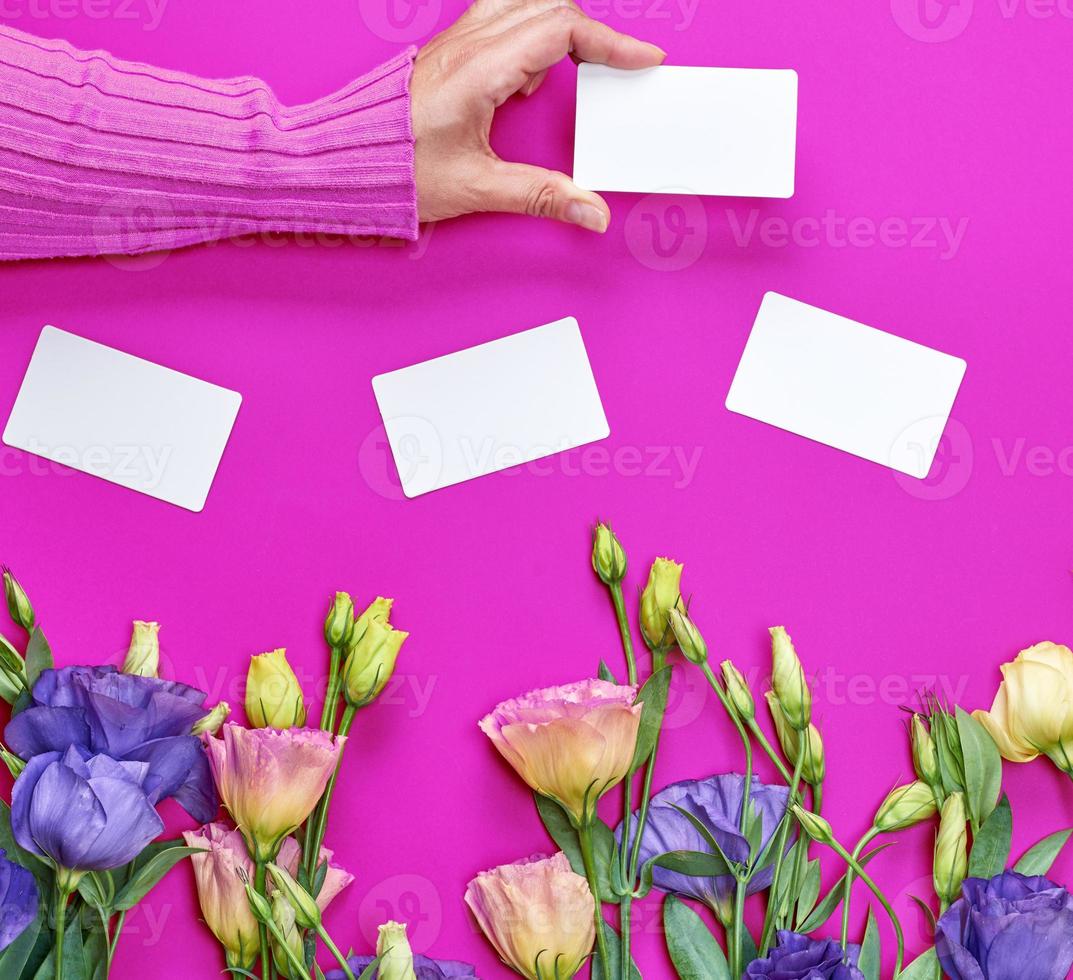 female hand in pink sweater holding a blank white paper business card photo