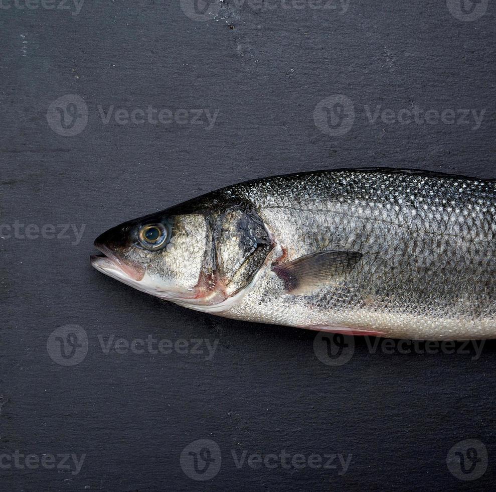 fresh whole sea bass fish on black background photo