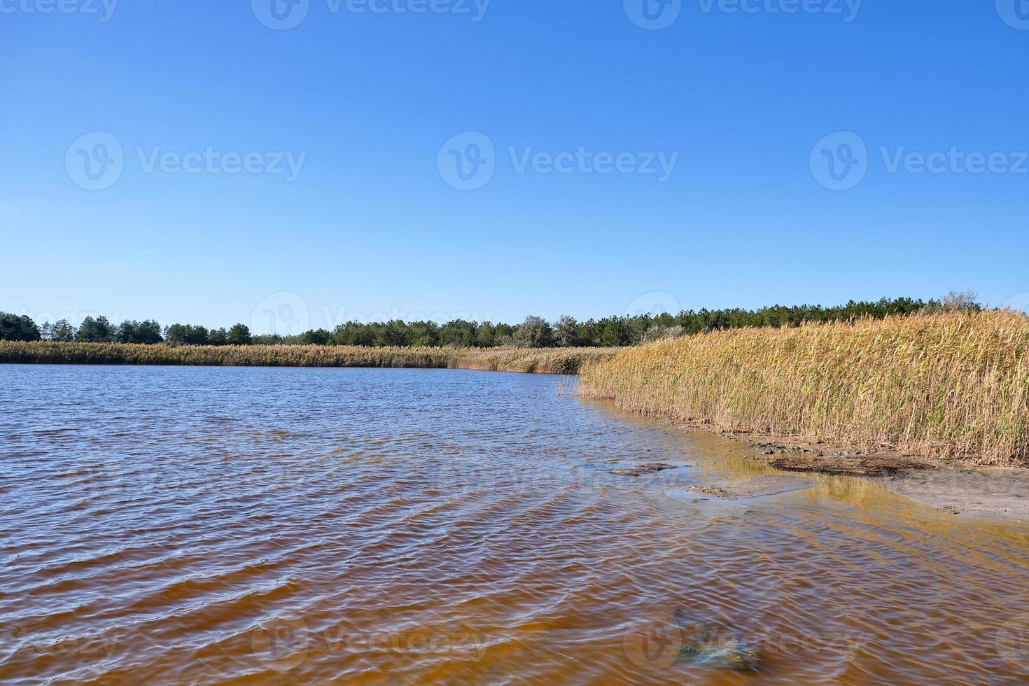 therapeutic lake with iodine and minerals in the middle of the wild steppe photo