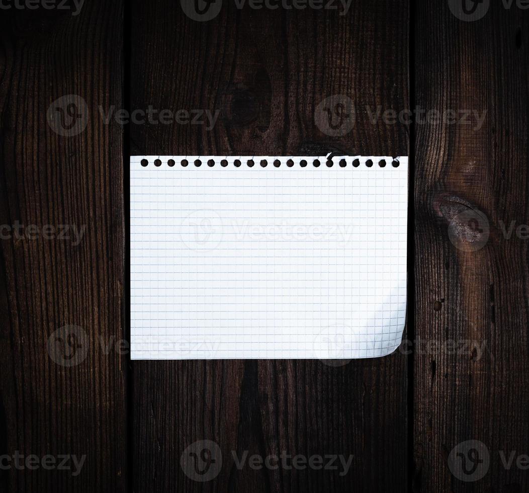 empty rectangular white sheet torn out of notepad photo