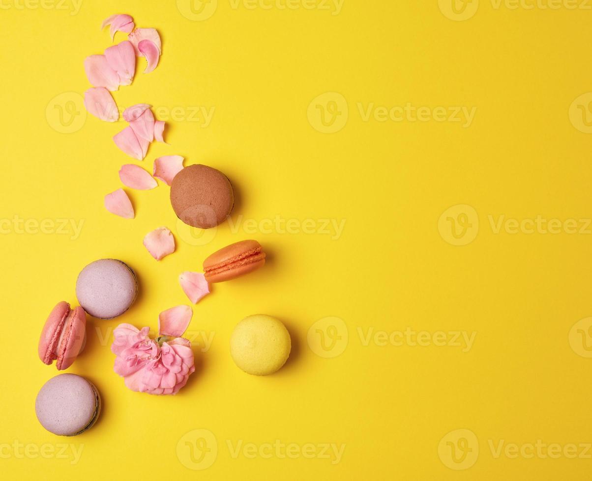 macarons multicolores con crema y un capullo de rosa rosa con pétalos dispersos foto