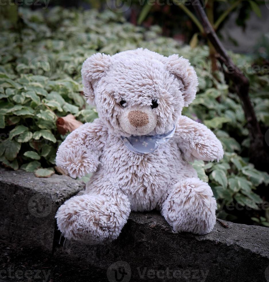 little teddy bear sitting on the side of the road during the day photo