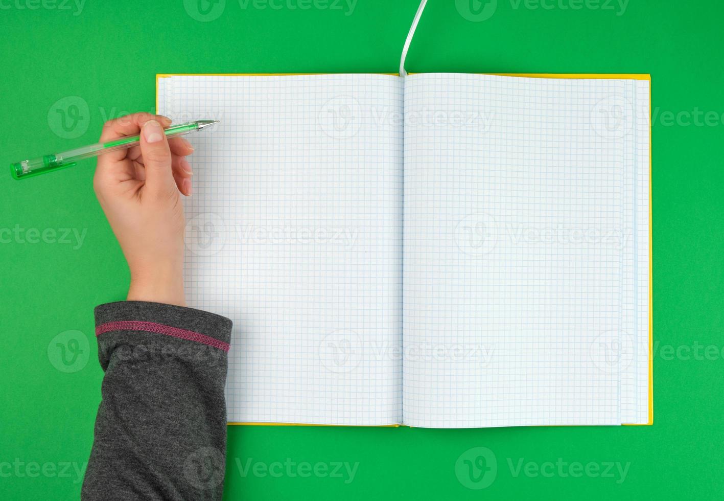 blank open notebook in a cell photo