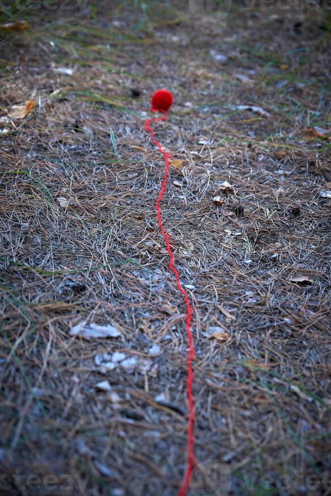 pequeña bola de lana roja desenrollada en medio del bosque foto