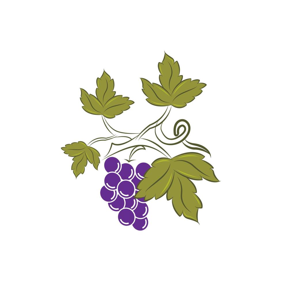 Vector monochrome illustration of grapes logo isolated on white background.