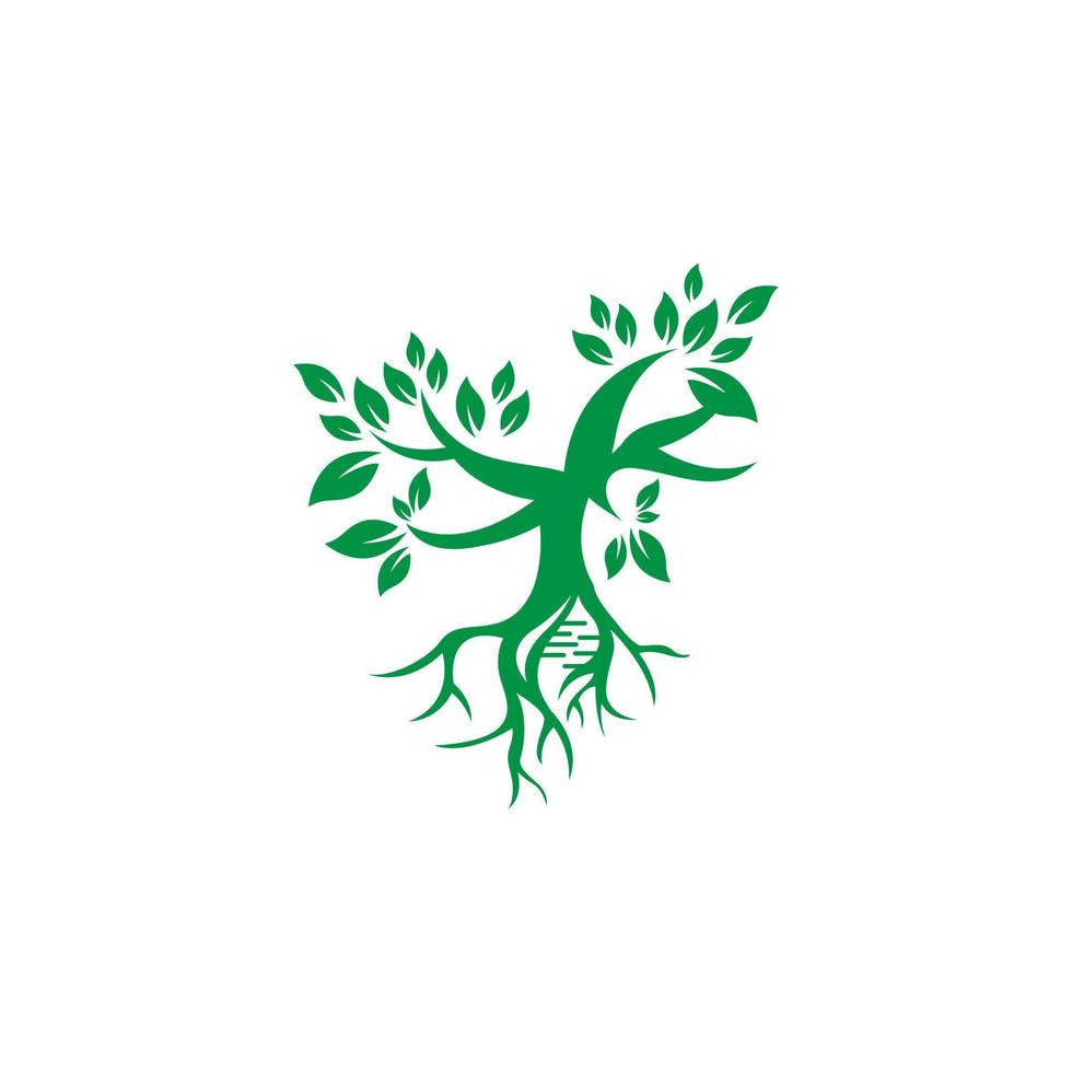 plantilla de logotipo de raíz y hélice de árbol. vector