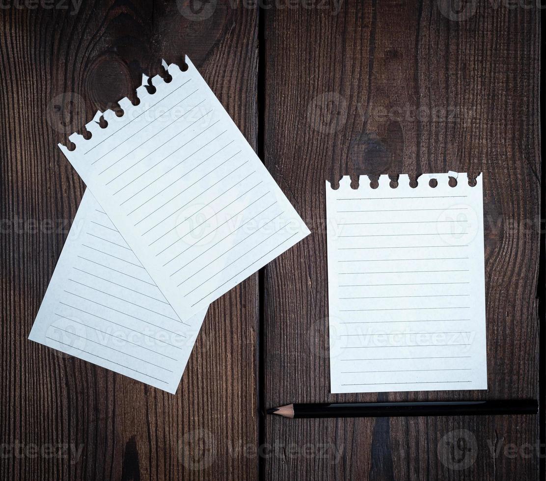 empty white sheets in a line torn out of notepad photo