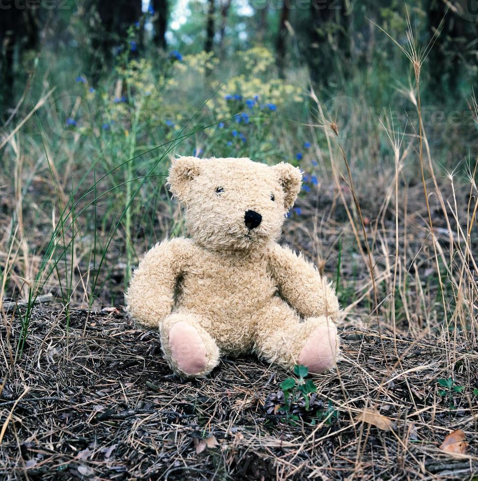 abandoned brown teddy bear sitting in the middle of the forest photo