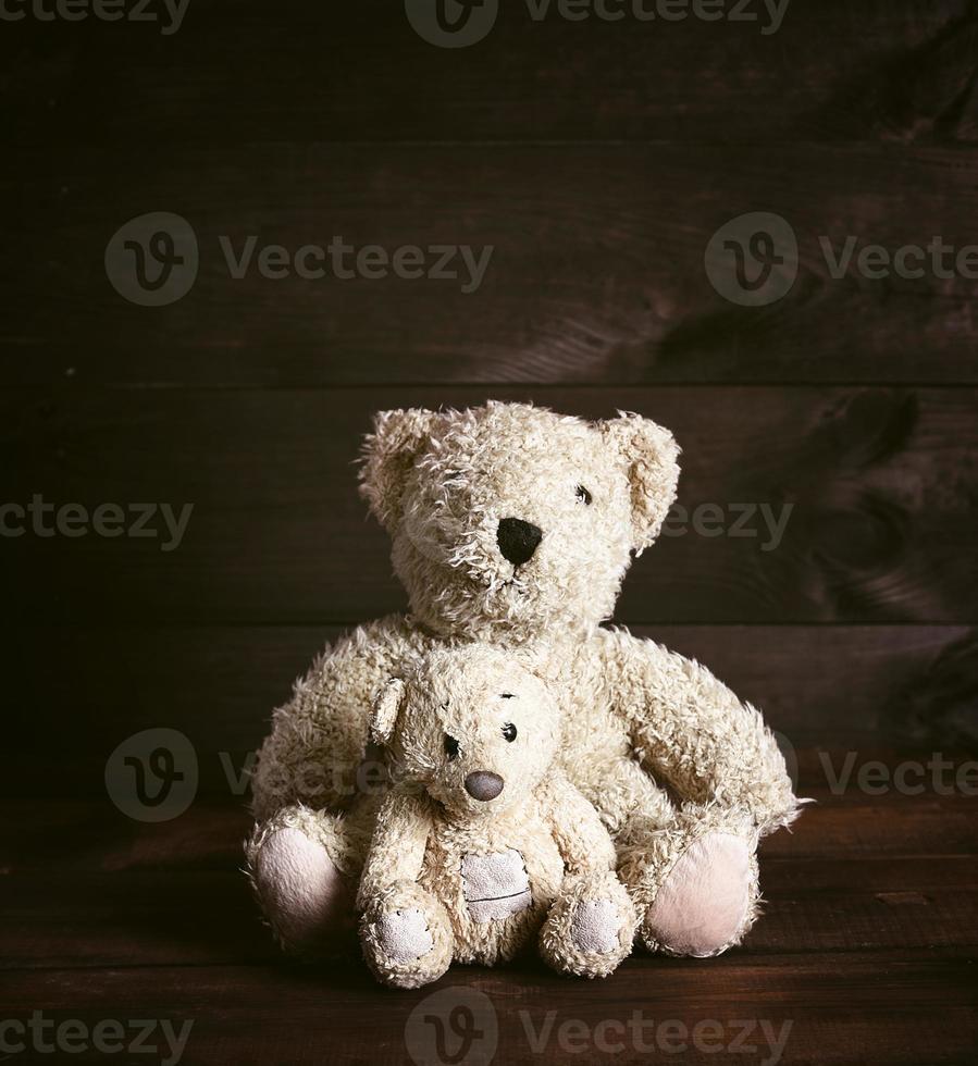 two brown soft teddy bears photo