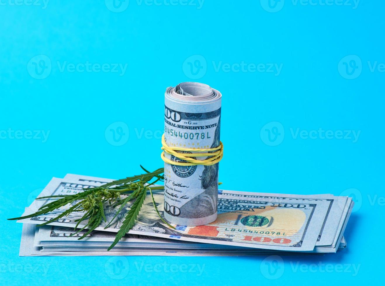 banknotes of american dollars and green leaf of hemp on a blue background photo